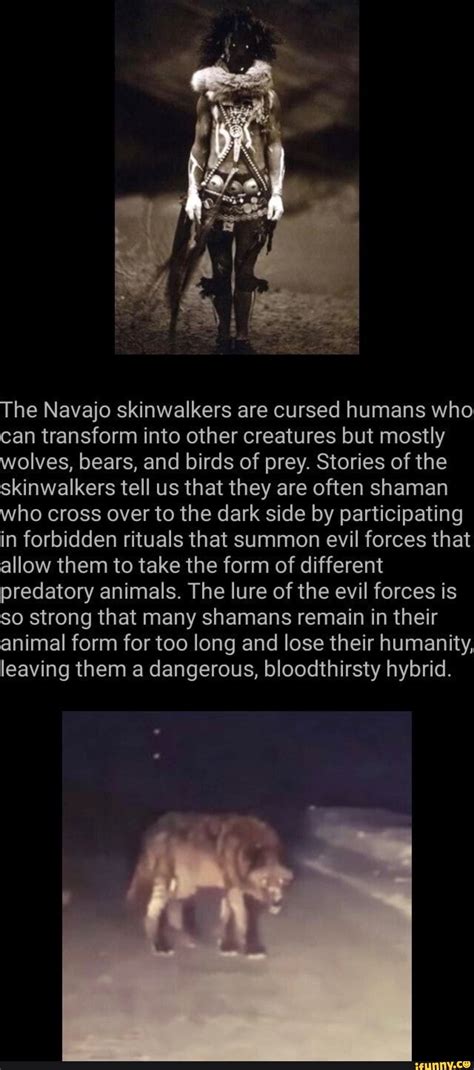 Unmasking the True Nature of the Skinwalker Curse